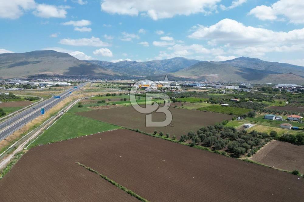 İZMİR-ESKİ FOÇA DUBLE YOLU ÜZERİNDE SATILIK FIRSAT TARLA
