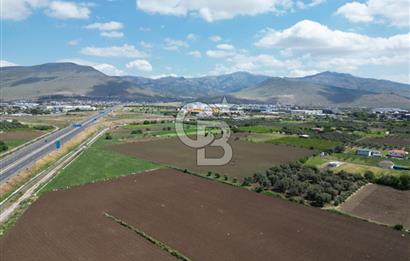 İZMİR-ESKİ FOÇA DUBLE YOLU ÜZERİNDE SATILIK FIRSAT TARLA