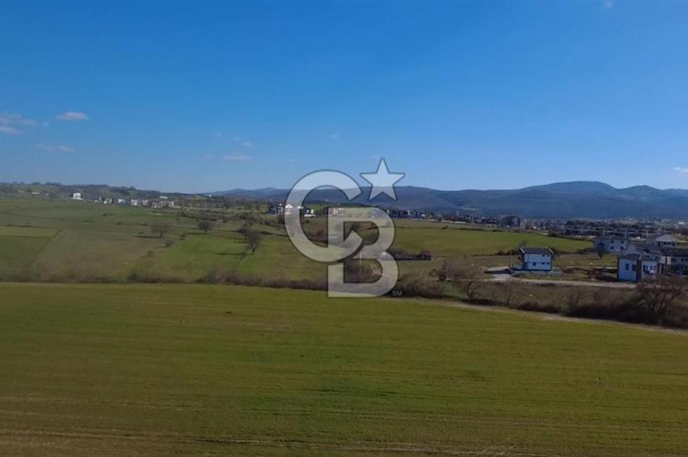 Biga Kalafat Satılık Arsa