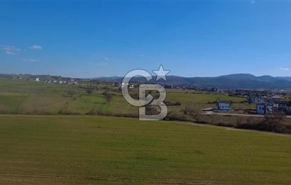 Biga Kalafat Satılık Arsa