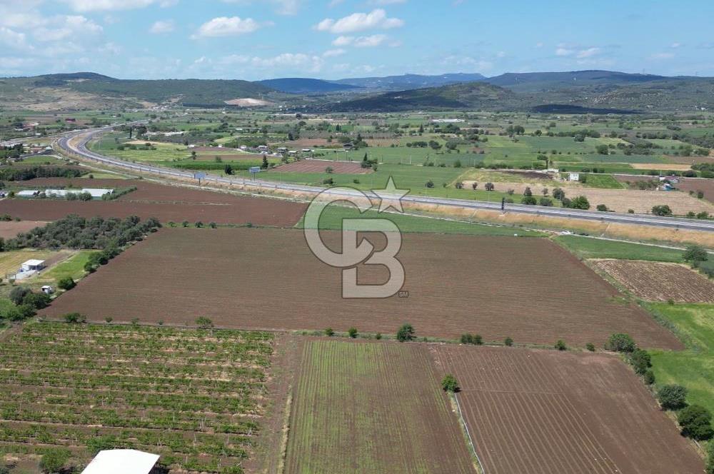 İZMİR-ESKİ FOÇA DUBLE YOLU ÜZERİNDE SATILIK FIRSAT TARLA