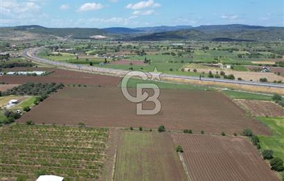 İZMİR-ESKİ FOÇA DUBLE YOLU ÜZERİNDE SATILIK FIRSAT TARLA