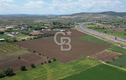 İZMİR-ESKİ FOÇA DUBLE YOLU ÜZERİNDE SATILIK FIRSAT TARLA