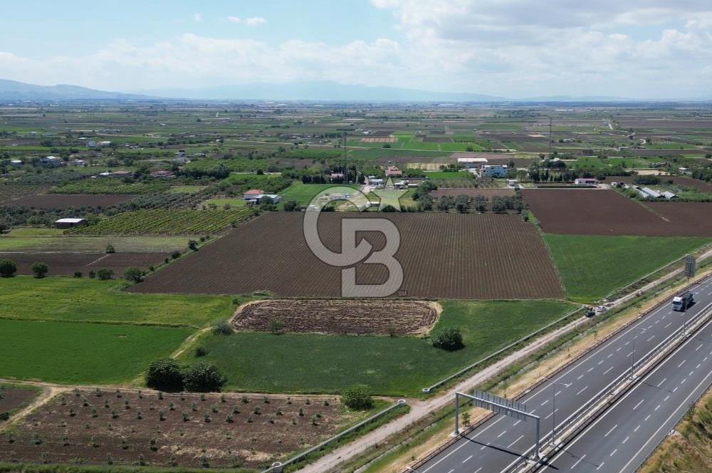 İZMİR-ESKİ FOÇA DUBLE YOLU ÜZERİNDE SATILIK FIRSAT TARLA