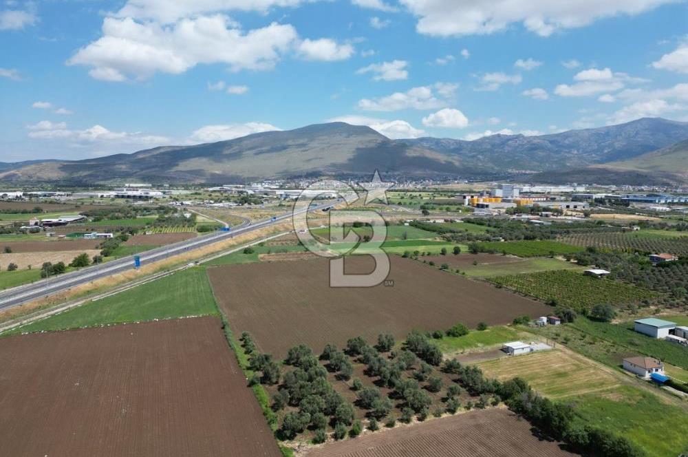 İZMİR-ESKİ FOÇA DUBLE YOLU ÜZERİNDE SATILIK FIRSAT TARLA