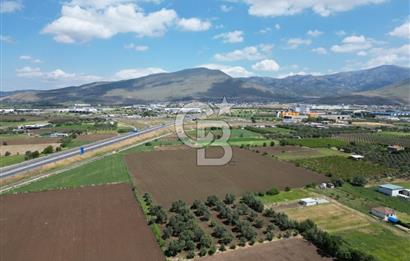 İZMİR-ESKİ FOÇA DUBLE YOLU ÜZERİNDE SATILIK FIRSAT TARLA