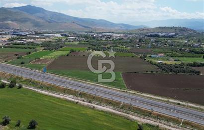 İZMİR-ESKİ FOÇA DUBLE YOLU ÜZERİNDE SATILIK FIRSAT TARLA