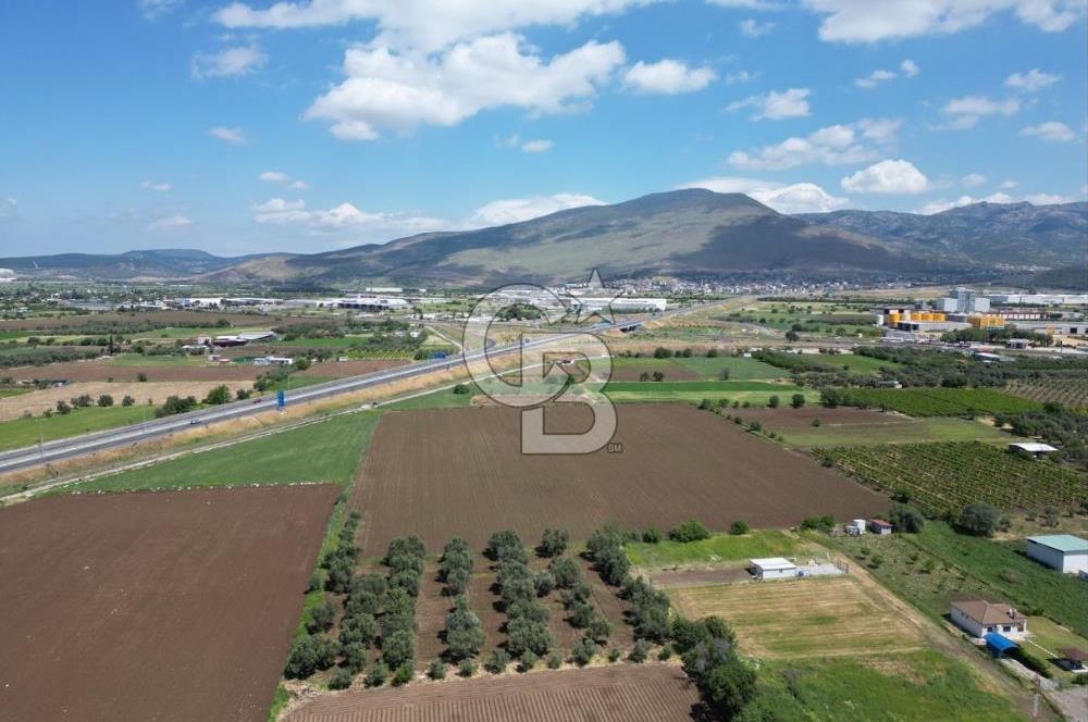 İZMİR-ESKİ FOÇA DUBLE YOLU ÜZERİNDE SATILIK FIRSAT TARLA