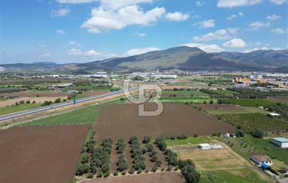 İZMİR-ESKİ FOÇA DUBLE YOLU ÜZERİNDE SATILIK FIRSAT TARLA