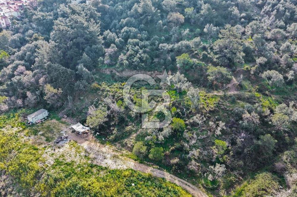 BALÇOVA TELEFERİK’TE SATILIK EMSALSİZ ARSA