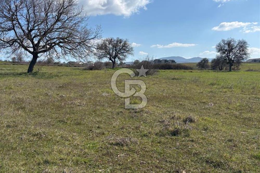 Biga Kalafat Satılık Arsa