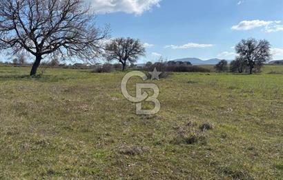 Biga Kalafat Satılık Arsa