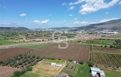 İZMİR-ESKİ FOÇA DUBLE YOLU ÜZERİNDE SATILIK FIRSAT TARLA