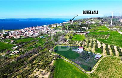 ÇANAKKALE İNTEPEDE DENİZ VE DOĞA MANZARALI YATIRIMLIK ARAZİ