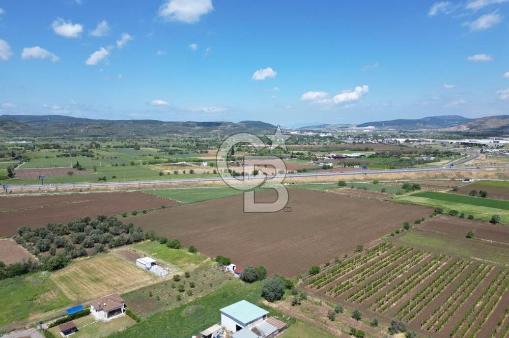 İZMİR-ESKİ FOÇA DUBLE YOLU ÜZERİNDE SATILIK FIRSAT TARLA