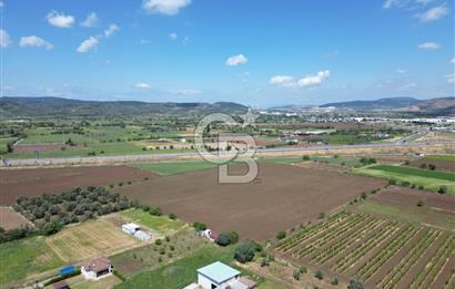 İZMİR-ESKİ FOÇA DUBLE YOLU ÜZERİNDE SATILIK FIRSAT TARLA