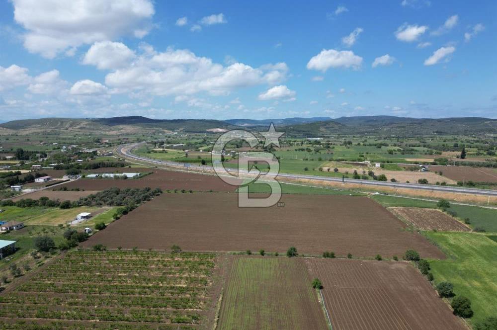 İZMİR-ESKİ FOÇA DUBLE YOLU ÜZERİNDE SATILIK FIRSAT TARLA