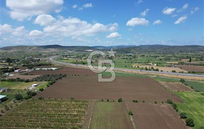 İZMİR-ESKİ FOÇA DUBLE YOLU ÜZERİNDE SATILIK FIRSAT TARLA