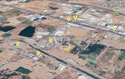 KEMALPAŞA AKALAN MAH. 2700M2 MÜSTAKİL TAPU SATILIK BAĞ