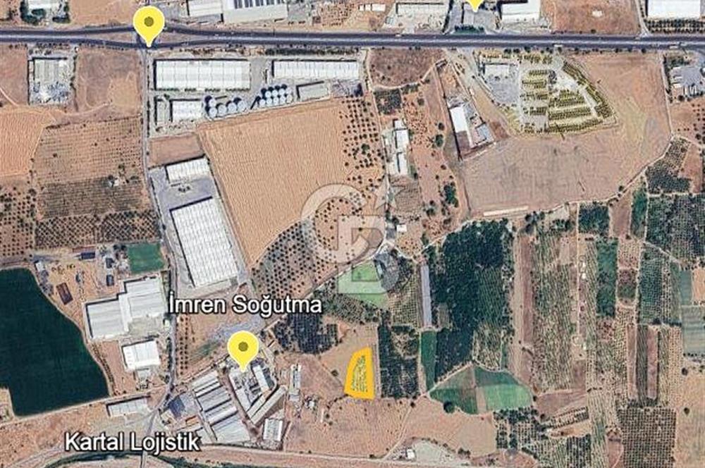 KEMALPAŞA AKALAN MAH. 2700M2 MÜSTAKİL TAPU SATILIK BAĞ