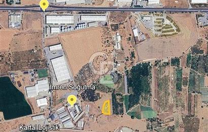 KEMALPAŞA AKALAN MAH. 2700M2 MÜSTAKİL TAPU SATILIK BAĞ