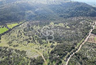 MİLAS ULAŞ'TA YATIRIMLIK ARAZİ - 1/10 HİSSE SATILIK - 8 - 338524