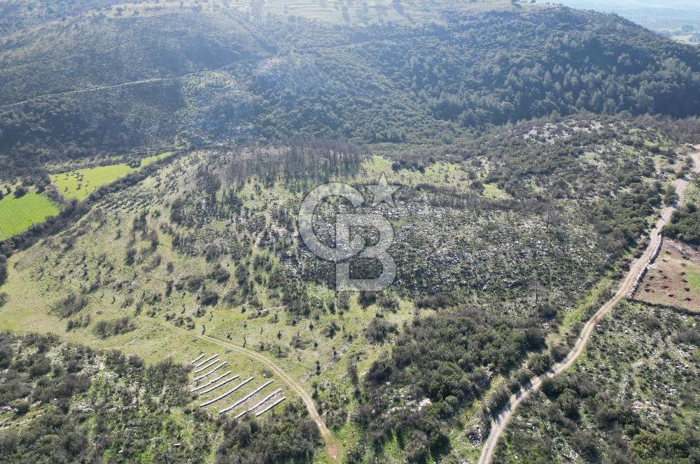 MİLAS ULAŞ'TA YATIRIMLIK ARAZİ - 1/10 HİSSE SATILIK