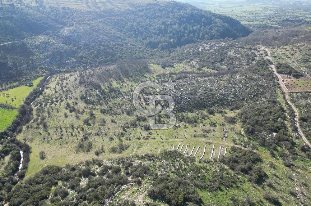 MİLAS ULAŞ'TA YATIRIMLIK ARAZİ - 1/10 HİSSE SATILIK