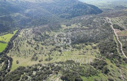 MİLAS ULAŞ'TA YATIRIMLIK ARAZİ - 1/10 HİSSE SATILIK