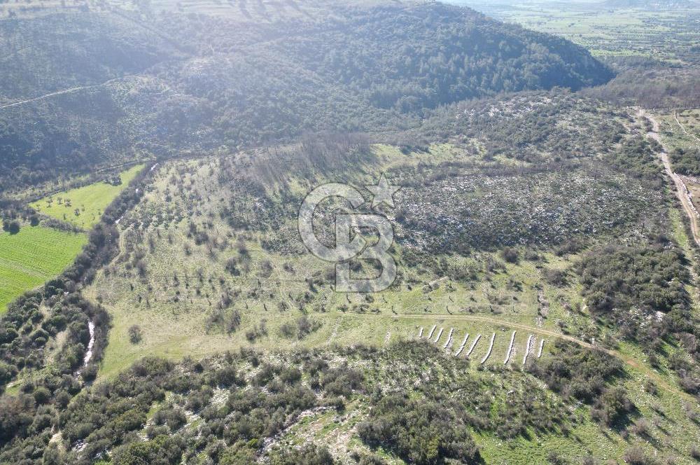 MİLAS ULAŞ'TA YATIRIMLIK ARAZİ - 1/10 HİSSE SATILIK