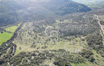 MİLAS ULAŞ'TA YATIRIMLIK ARAZİ - 1/10 HİSSE SATILIK