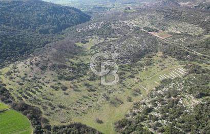 MİLAS ULAŞ'TA YATIRIMLIK ARAZİ - 1/10 HİSSE SATILIK