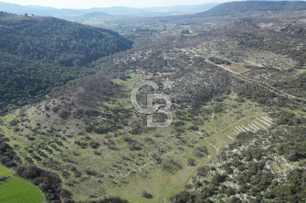 MİLAS ULAŞ'TA YATIRIMLIK ARAZİ - 1/10 HİSSE SATILIK