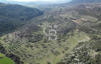 MİLAS ULAŞ'TA YATIRIMLIK ARAZİ - 1/10 HİSSE SATILIK