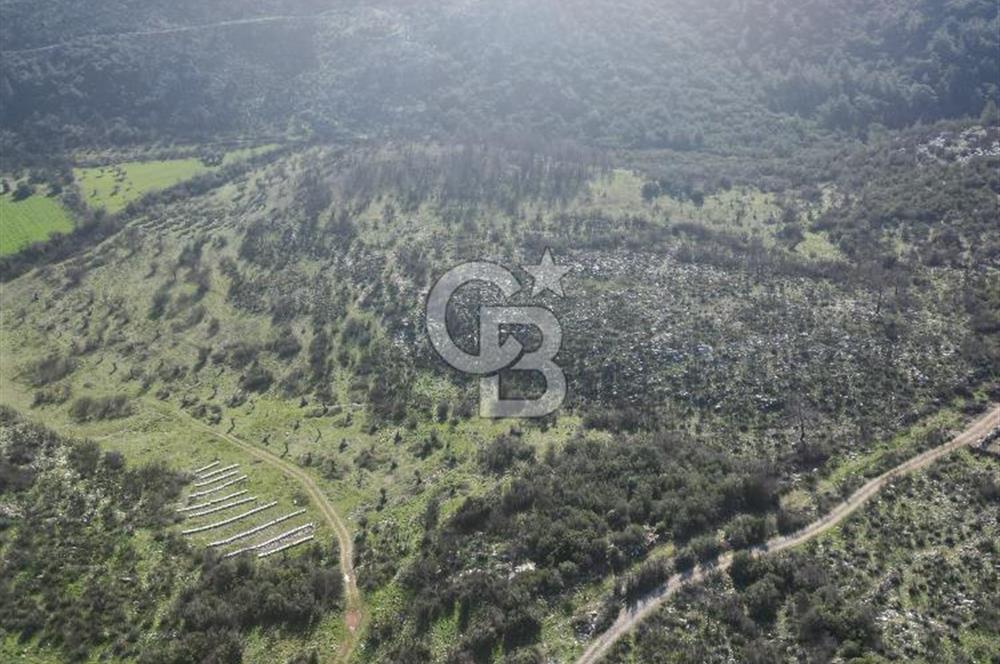 MİLAS ULAŞ'TA YATIRIMLIK ARAZİ - 1/10 HİSSE SATILIK