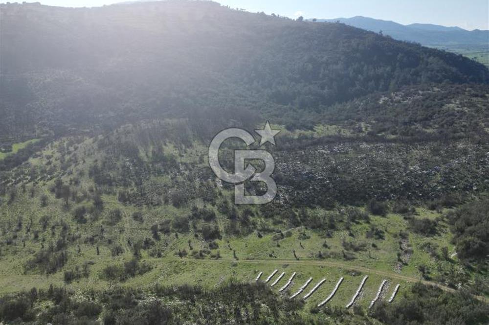 MİLAS ULAŞ'TA YATIRIMLIK ARAZİ - 1/10 HİSSE SATILIK