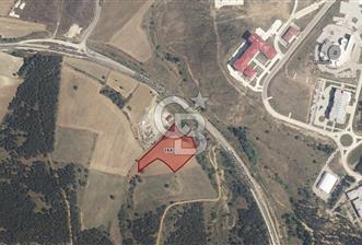 KASTAMONU ÜNİVERSİTE AKSINDA | DADAY YOLU ÜZERİ 8.725 m² YATIRIM - 1 - 338517