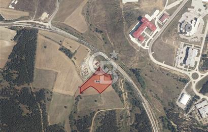 KASTAMONU ÜNİVERSİTE AKSINDA | DADAY YOLU ÜZERİ 8.725 m² YATIRIM