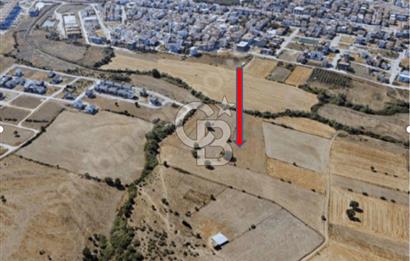 Biga Kalafat Satılık Arsa