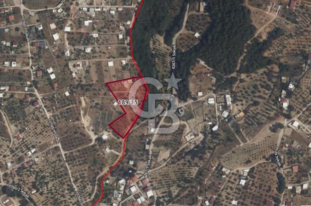 İZMİR BORNOVA YAKAKÖY’DE SATILIK ZEYTİNLİK CB PH 