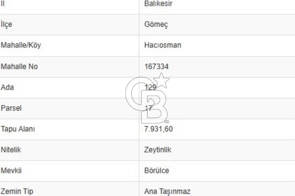 BALIKESİR GÖMEÇ HACIOSMANDA 7.931 m² SATILIK VERİMLİ ZEYTİNLİK