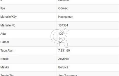 BALIKESİR GÖMEÇ HACIOSMANDA 7.931 m² SATILIK VERİMLİ ZEYTİNLİK