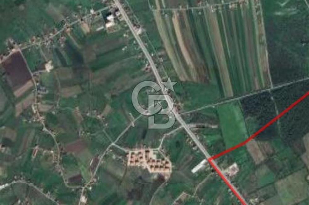 19 MAYIS, DEREKÖY MERKEZ, ANAYOL'A 60 METRE SATILIK ARSA