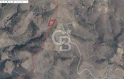 MANİSA KULA SÖĞÜTDERE KARAKUYU MEVKİİ 11.286 m² SATILIK TARLA