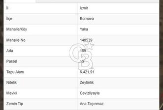 İZMİR BORNOVA YAKAKÖY’DE SATILIK ZEYTİNLİK CB PH  - 8 - 338534