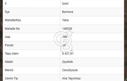 İZMİR BORNOVA YAKAKÖY’DE SATILIK ZEYTİNLİK CB PH 