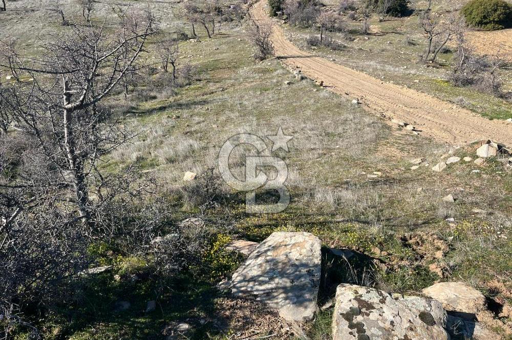 MANİSA KULA SÖĞÜTDERE KARAKUYU MEVKİİ 11.286 m² SATILIK TARLA