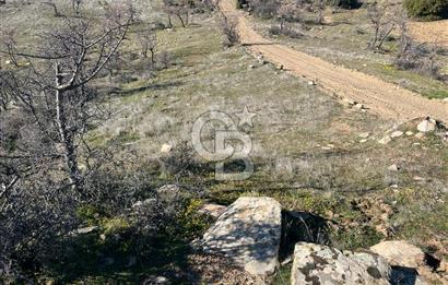 MANİSA KULA SÖĞÜTDERE KARAKUYU MEVKİİ 11.286 m² SATILIK TARLA