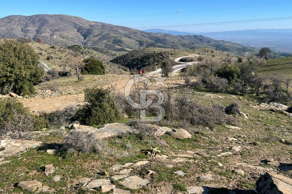 MANİSA KULA SÖĞÜTDERE KARAKUYU MEVKİİ 11.286 m² SATILIK TARLA