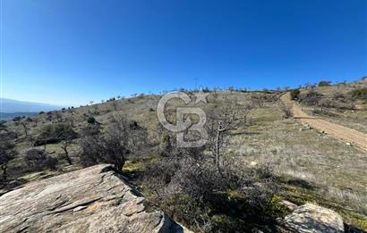 MANİSA KULA SÖĞÜTDERE KARAKUYU MEVKİİ 11.286 m² SATILIK TARLA